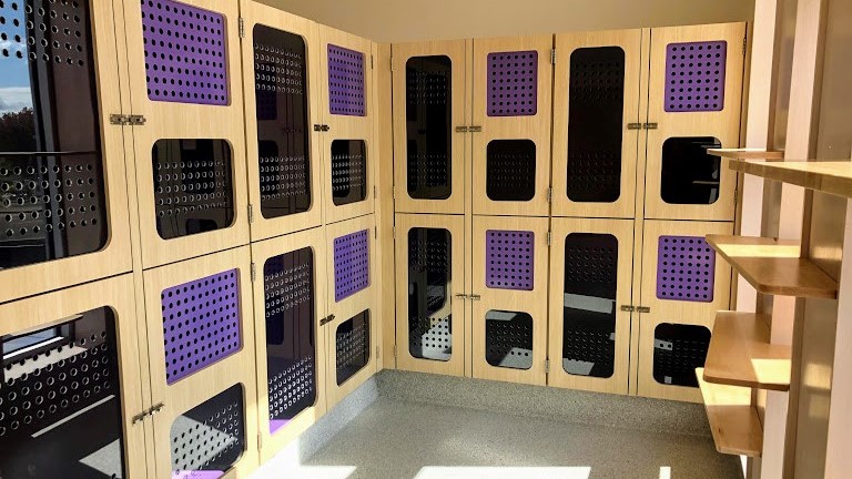 Purple Cat Room